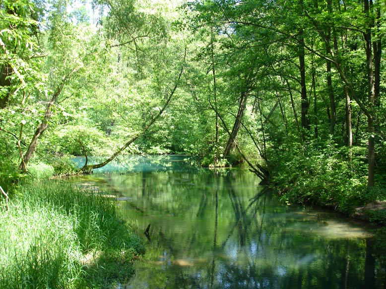 Die Kühle von Wasser und Wald genießen