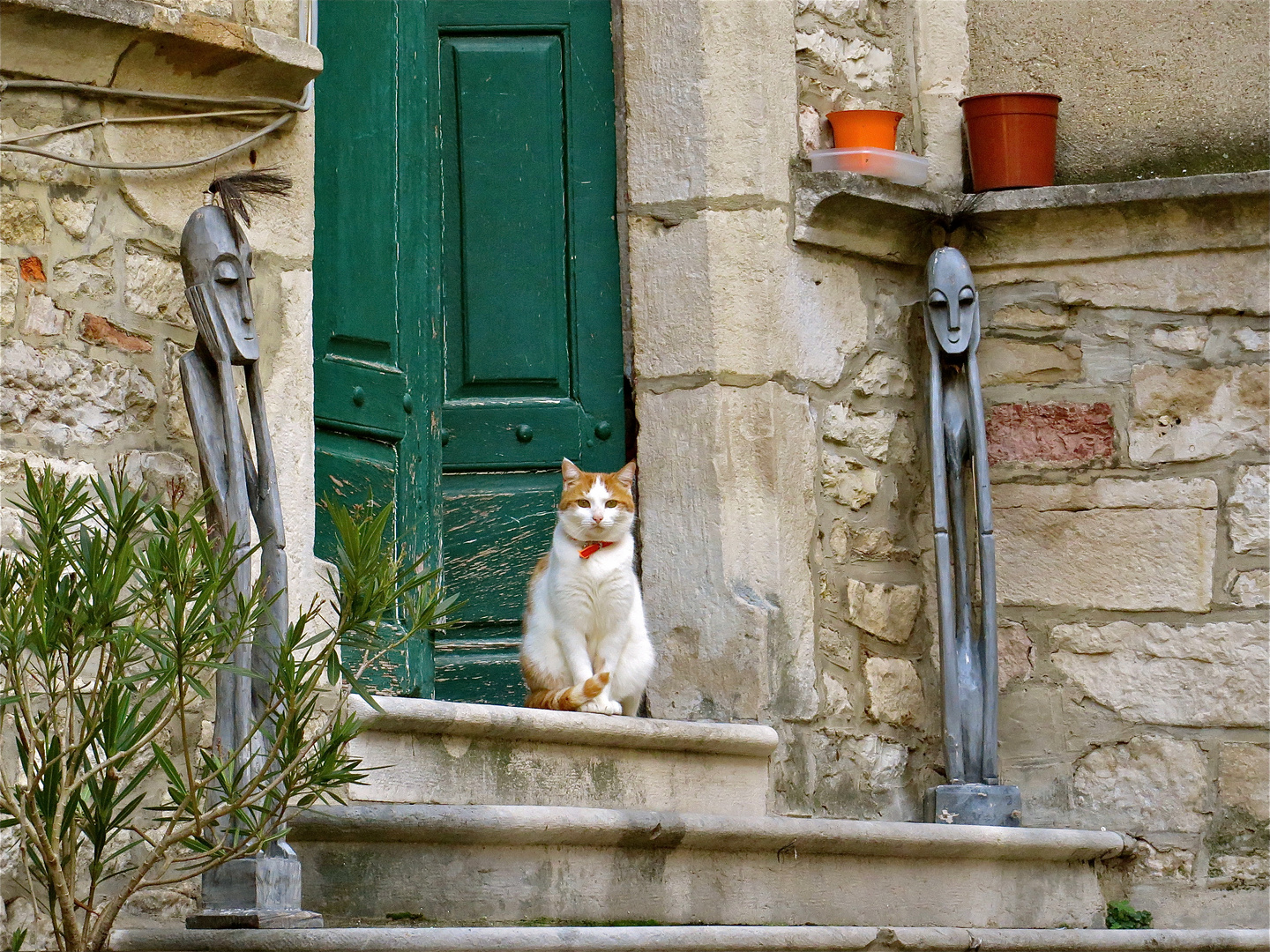 Zwei Katzen Mit Dem Namen Donna E Gastrone Von Goebel Catawiki