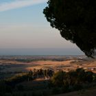 die Küste bei Marina di Bibbona im Morgenlicht (Toskana)