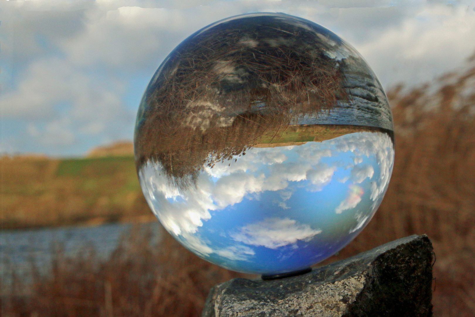 Die Kugel Foto & Bild stillleben, motive Bilder auf