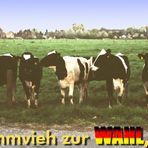 Die Kuh-WAHL