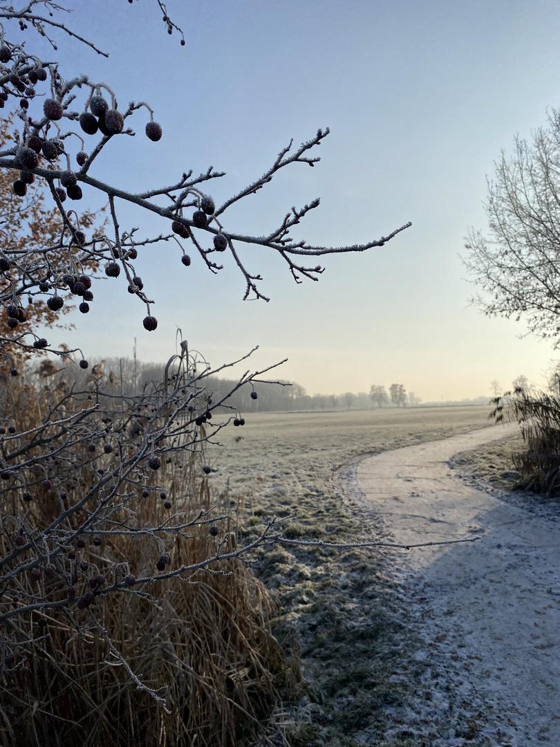 Die Kuhrunde im Winter