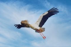 Die Kunst des Fliegens ...