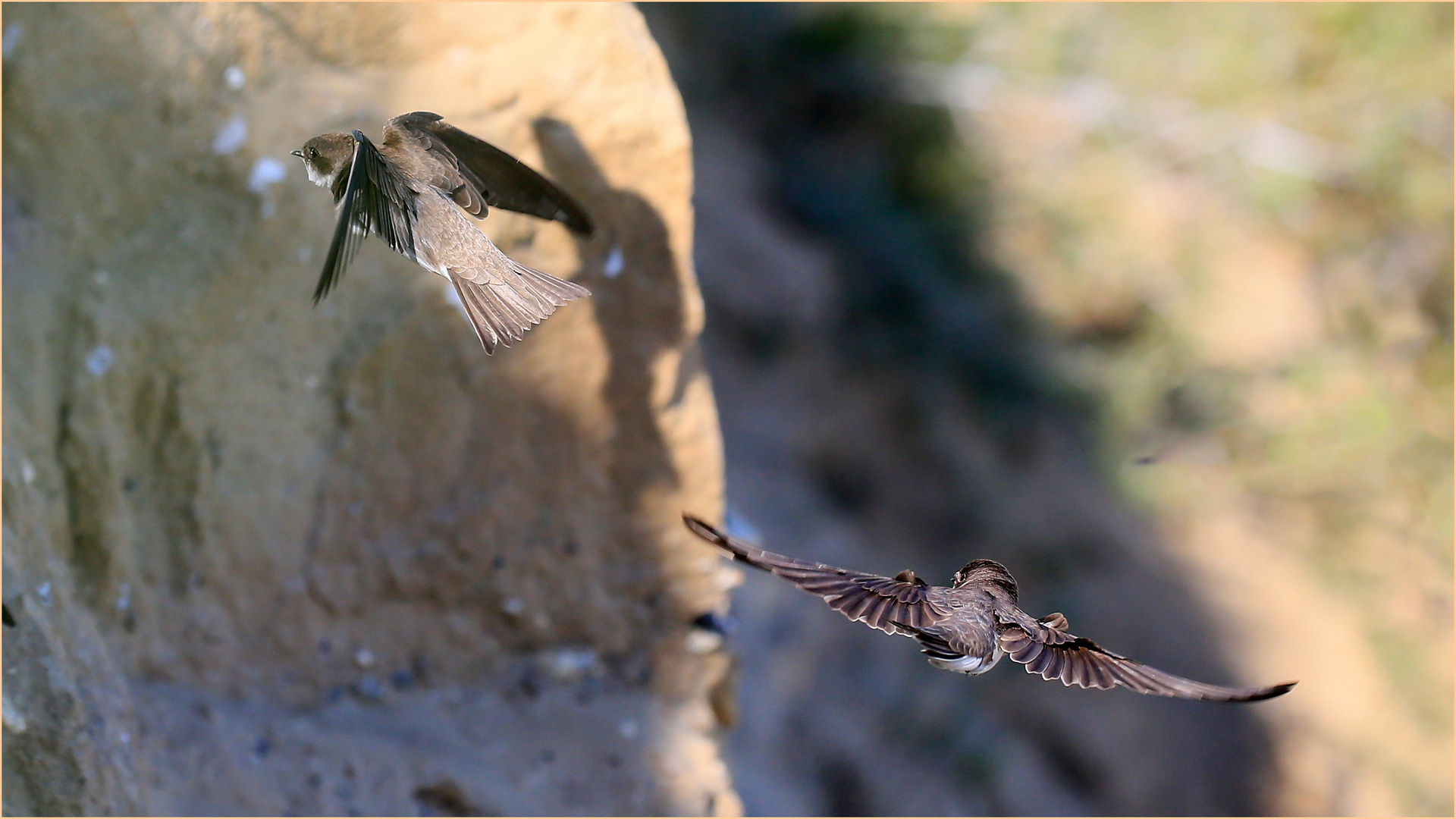 die Kunst des Fliegens  .....