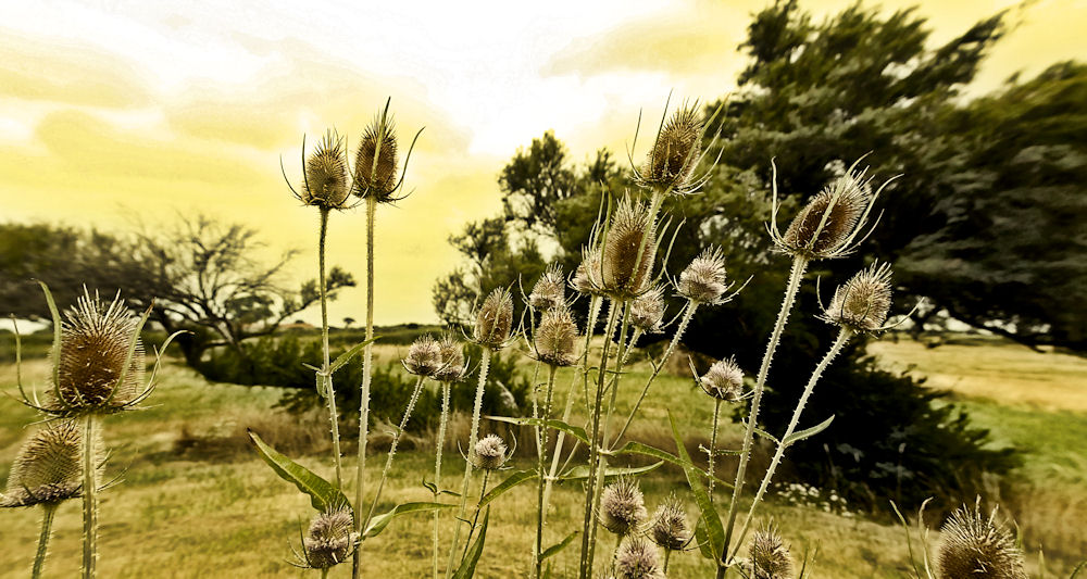 Get Die kunst ist einmal mehr aufzustehen als man umgeworfen wird Desktop Wallpaper Free