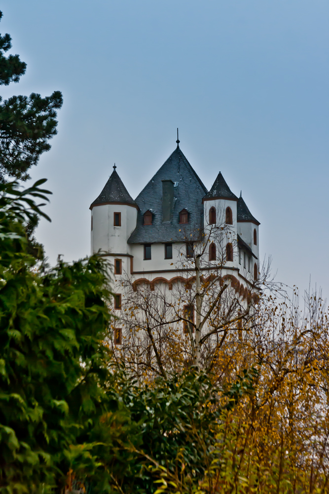 Die Kurfürstliche Burg ....