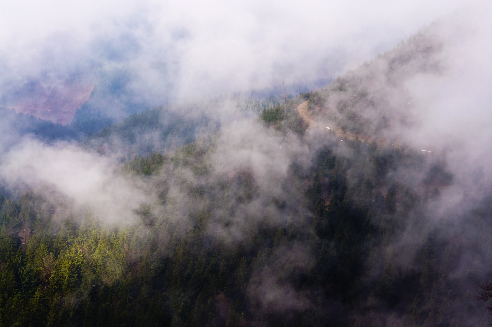 Die Kurve im Nebel