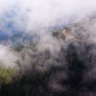 Die Kurve im Nebel