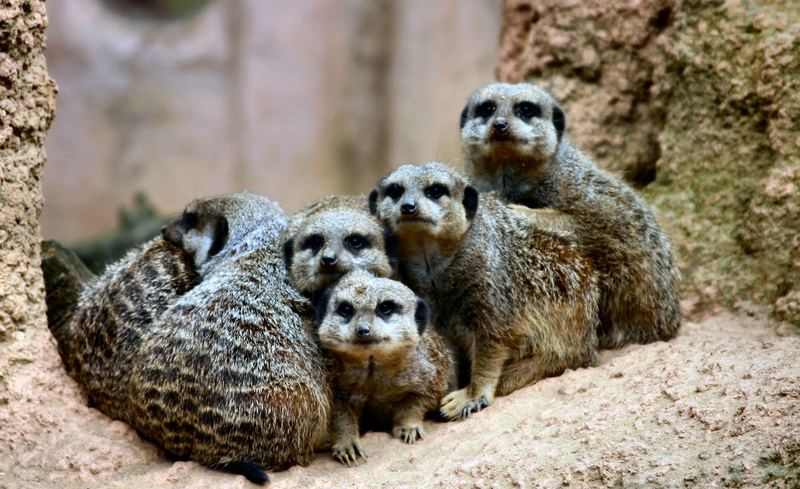 Die Kuschelecke im Zoo...