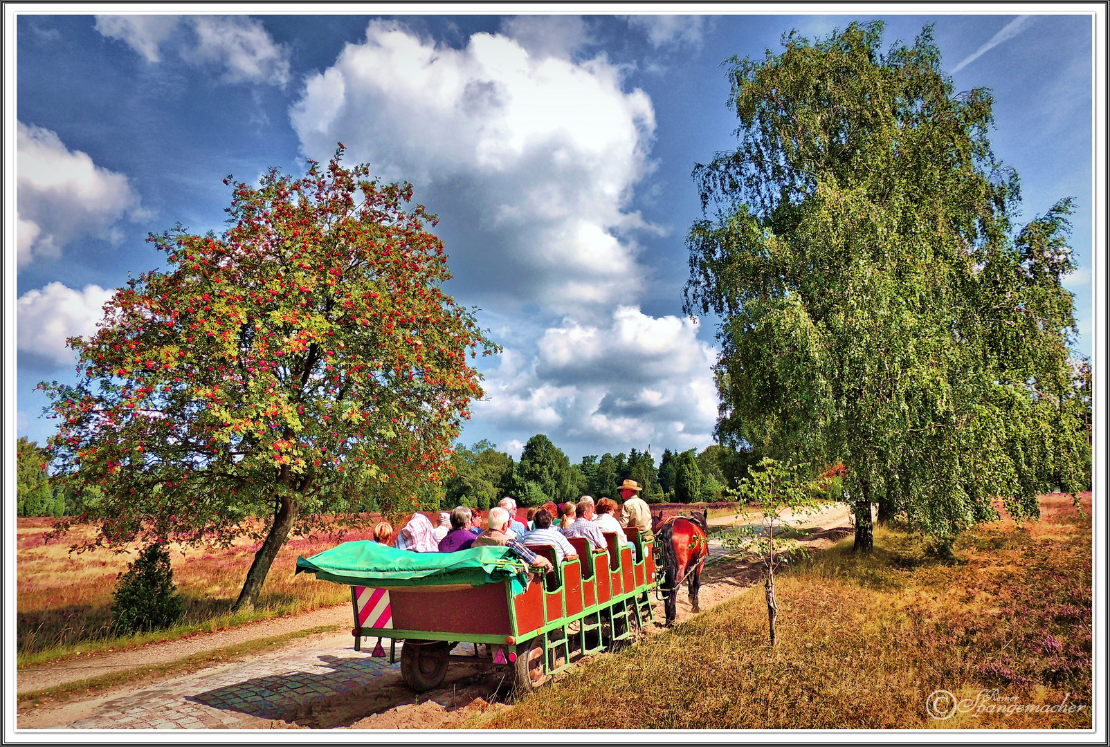 Die Kutsche unter dem Vogelbeerbaum