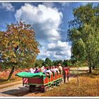 Die Kutsche unter dem Vogelbeerbaum