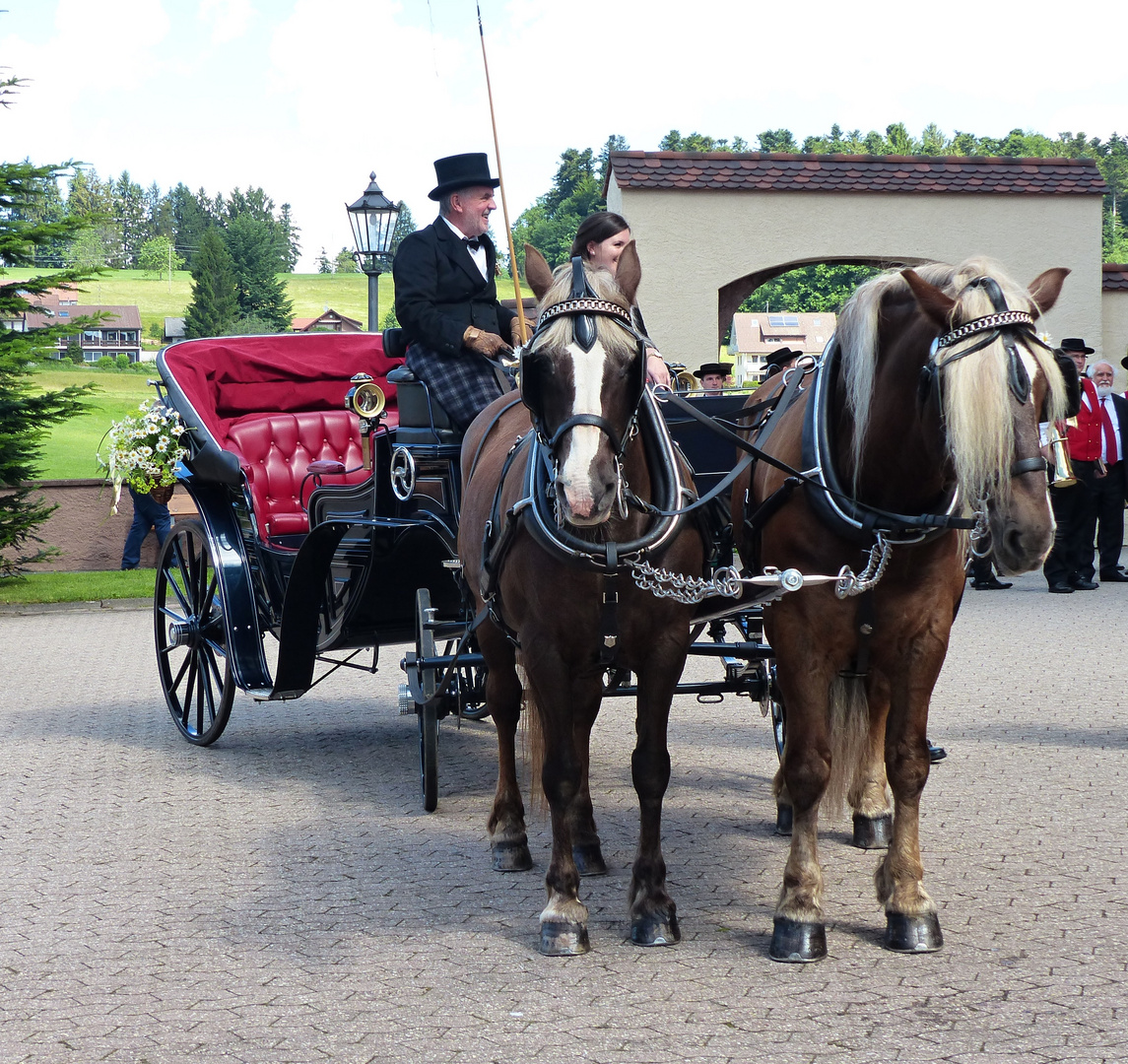 die Kutsche wartet Foto & Bild | world, pferde, menschen Bilder auf