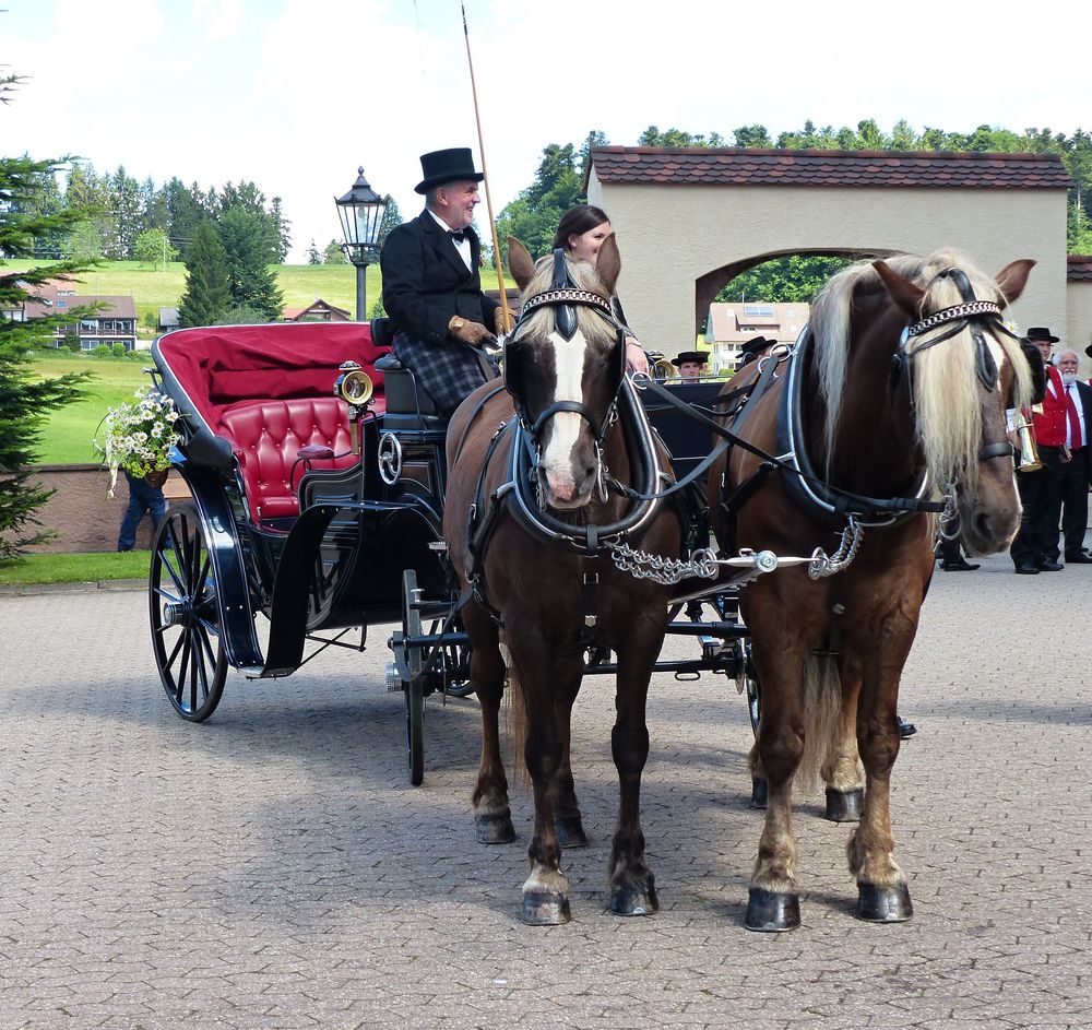 die Kutsche wartet Foto & Bild | world, pferde, menschen Bilder auf