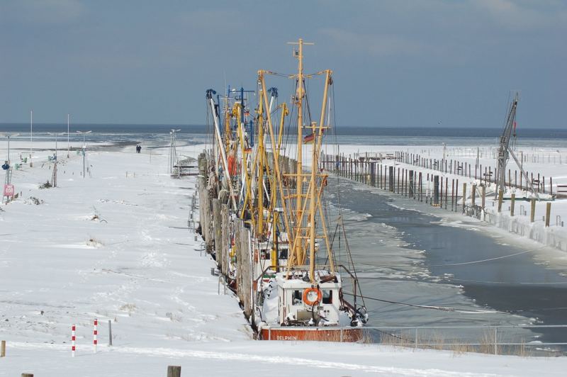 Die Kutterboote in Dorum müssen noch warten