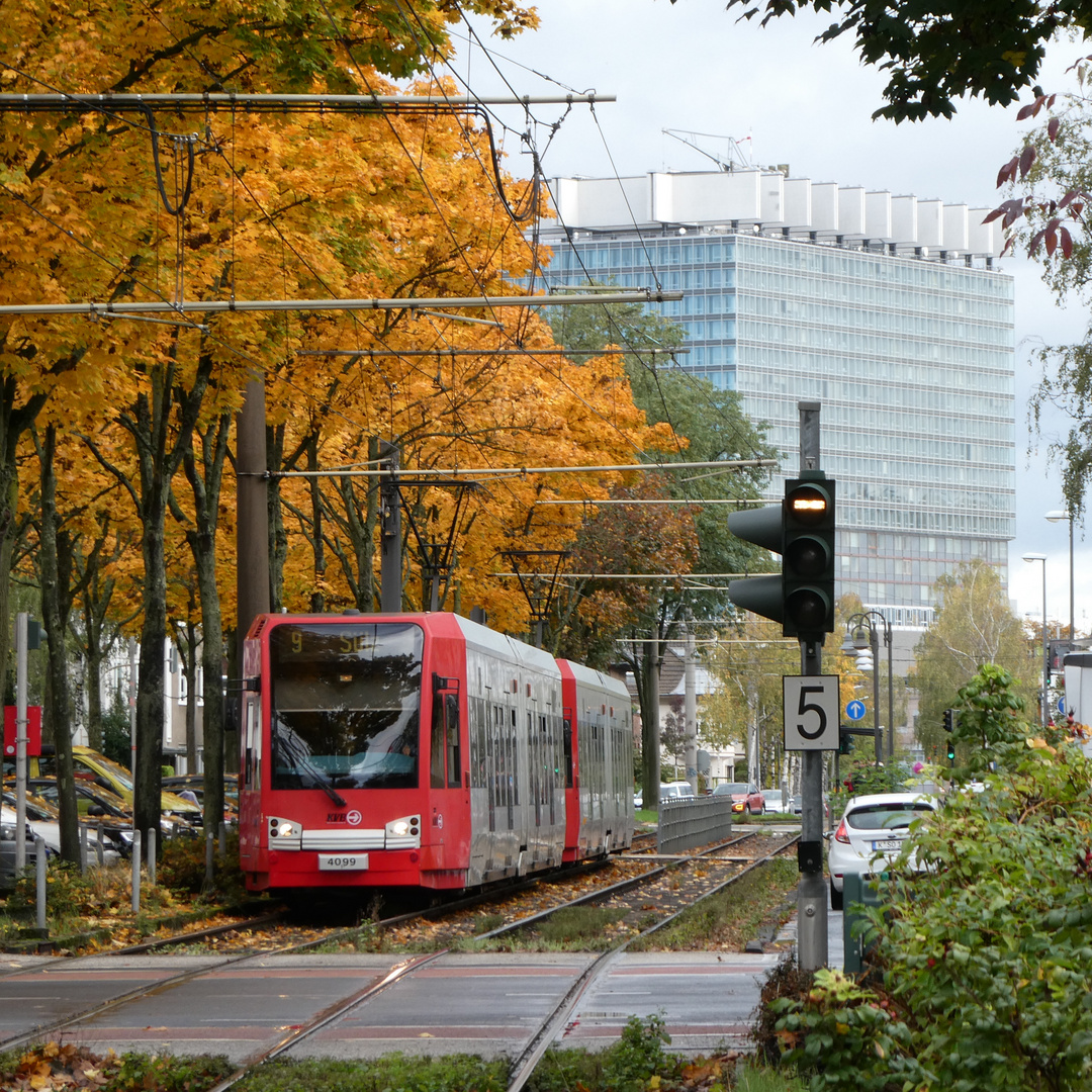 Die KVB im Herbst