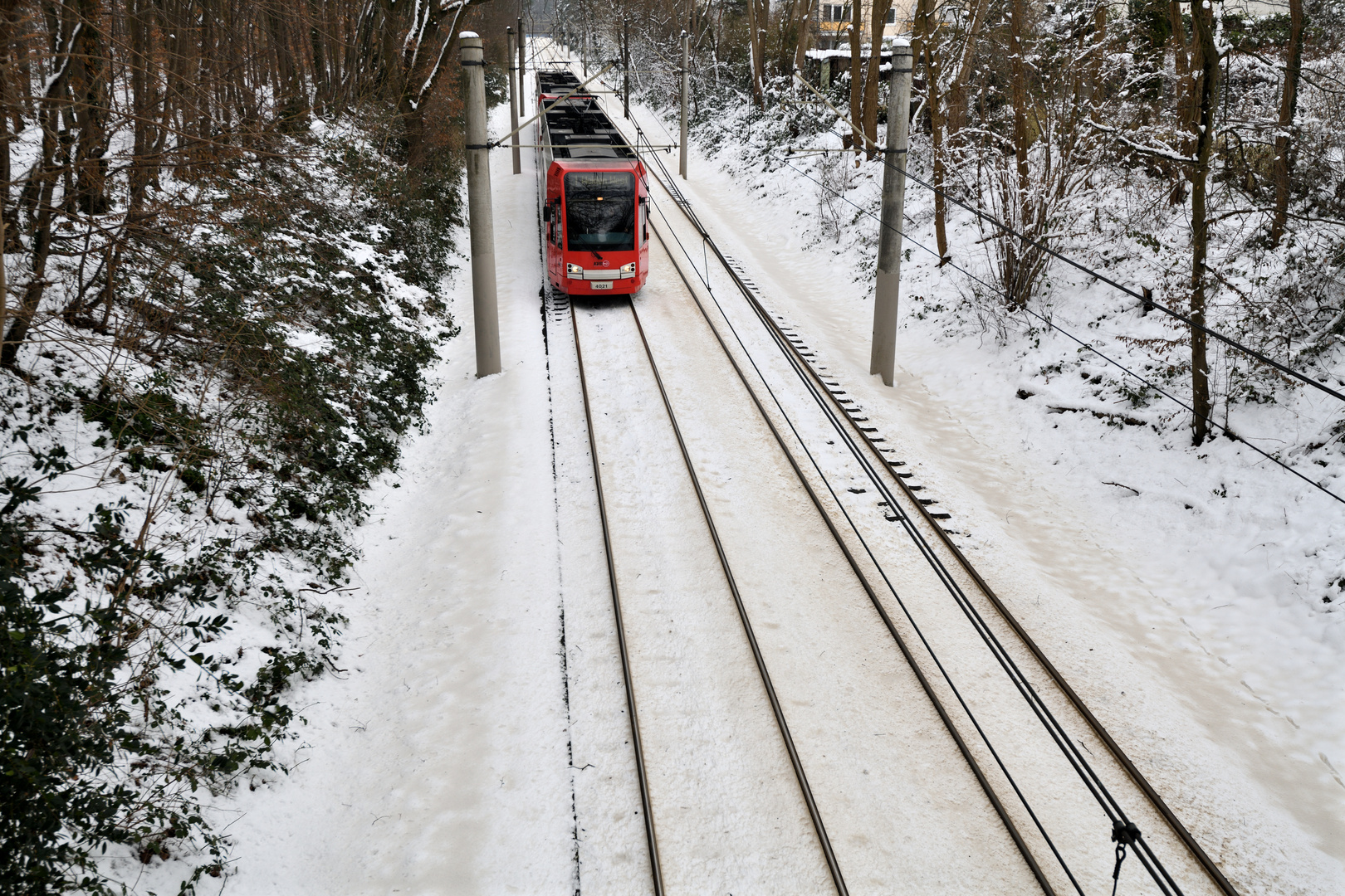 Die KVB im Schnee!! in Köln sehr selten!