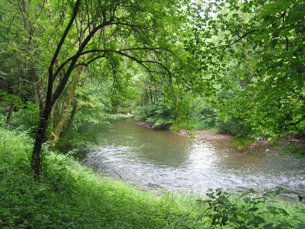 Die Kyll in der Eifel