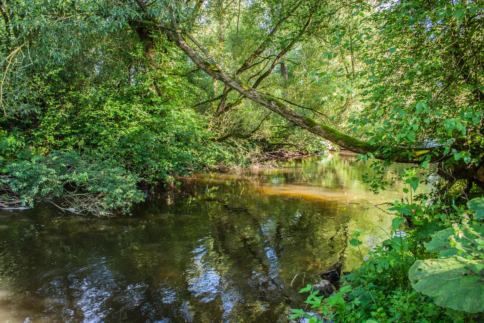 Die Kyll in der Eifel