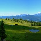 Die Lackenalmen in Flachau