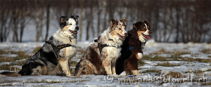 die Ladies-Gang ...