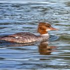 Die Lady im Fluss