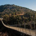 Die längste Fußgängerhängebrücke der Welt.......