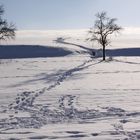 Die längste Reise beginnt mit dem ersten Schritt...