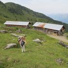 Die Lafasteralm oberhalb von Weerberg