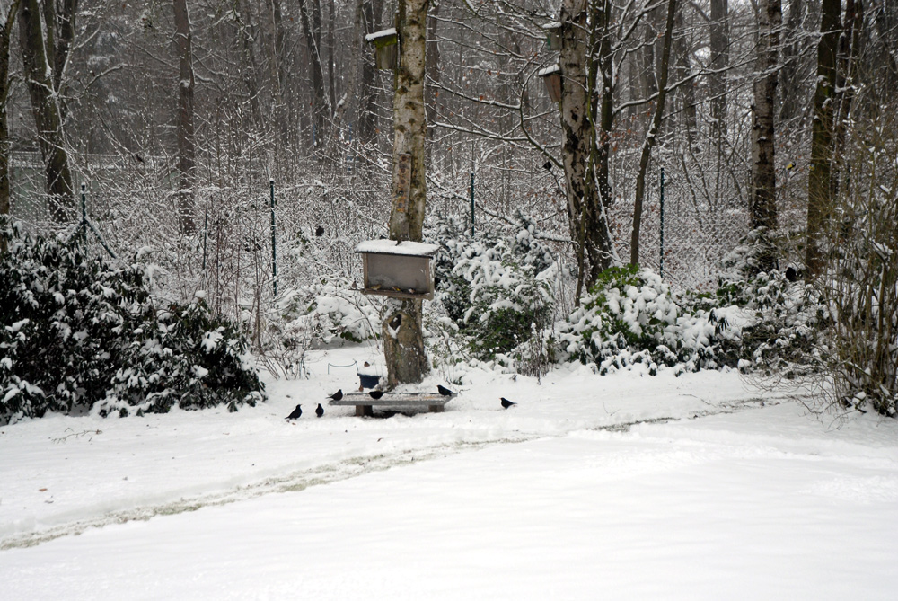 Die Lage meiner Winterfutteranlage