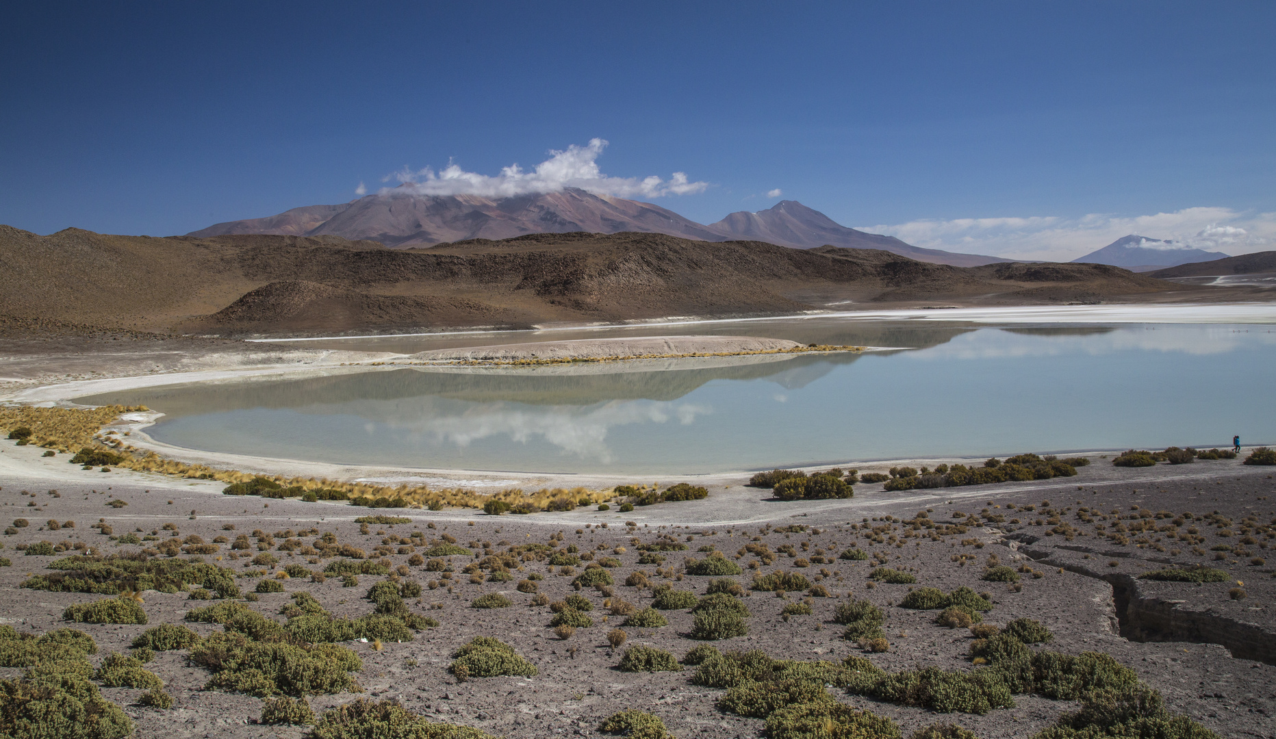 Die Laguna Blanca im Nationalpark Reserva National de Fauna Andina Edu-ardo Avaroa