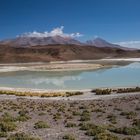 Die Laguna Blanca im Nationalpark Reserva National de Fauna Andina Edu-ardo Avaroa