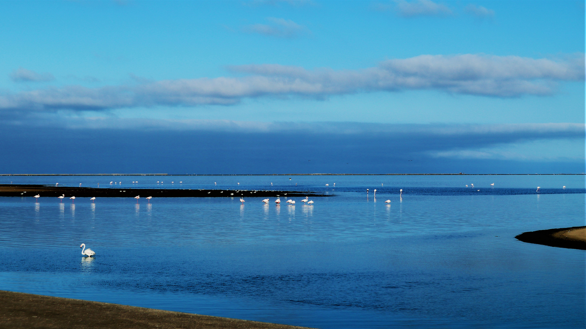 Die Lagune am Morgen