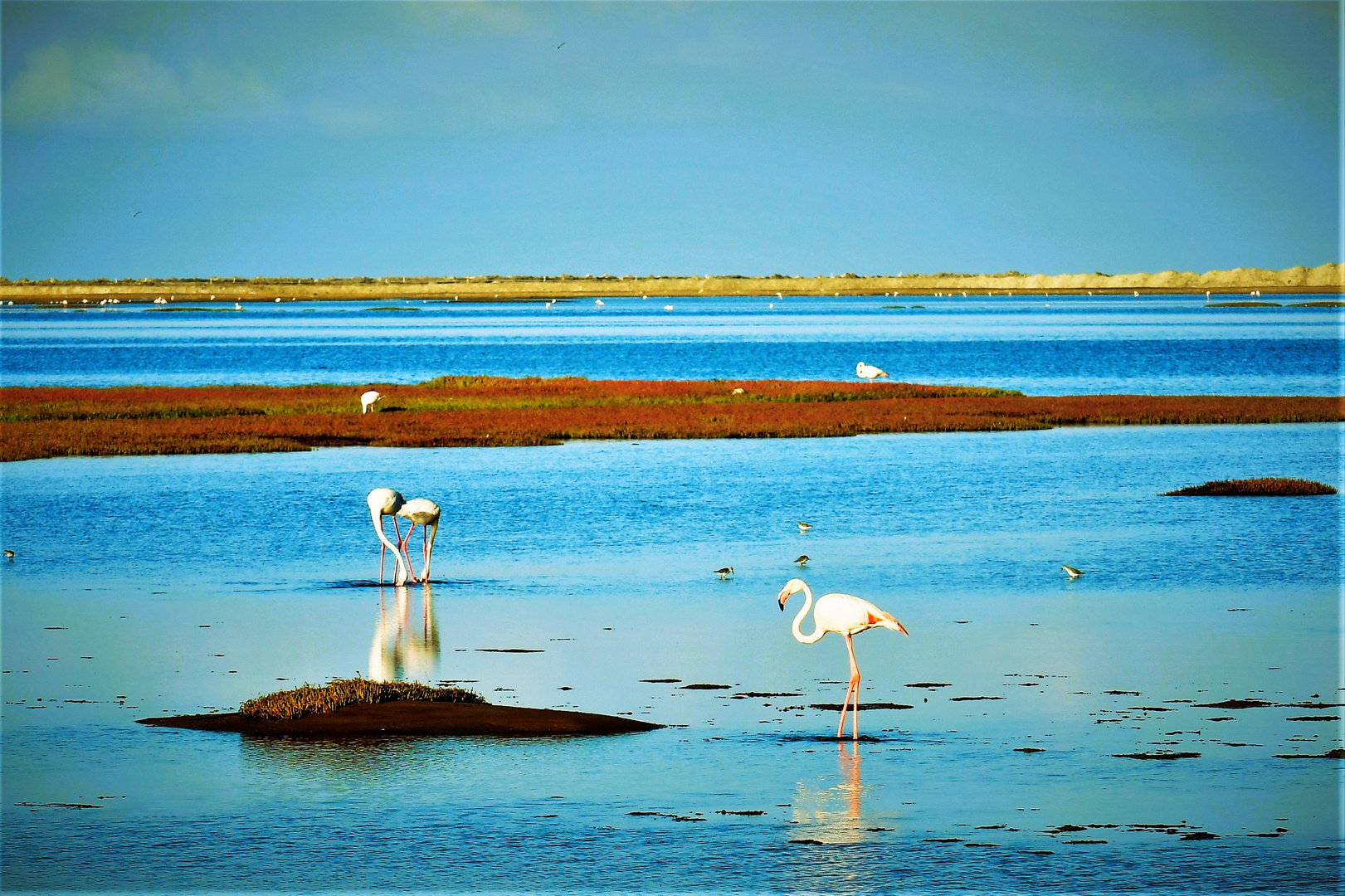 die Lagune Walvisbay