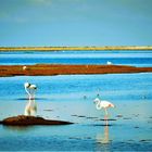 die Lagune Walvisbay