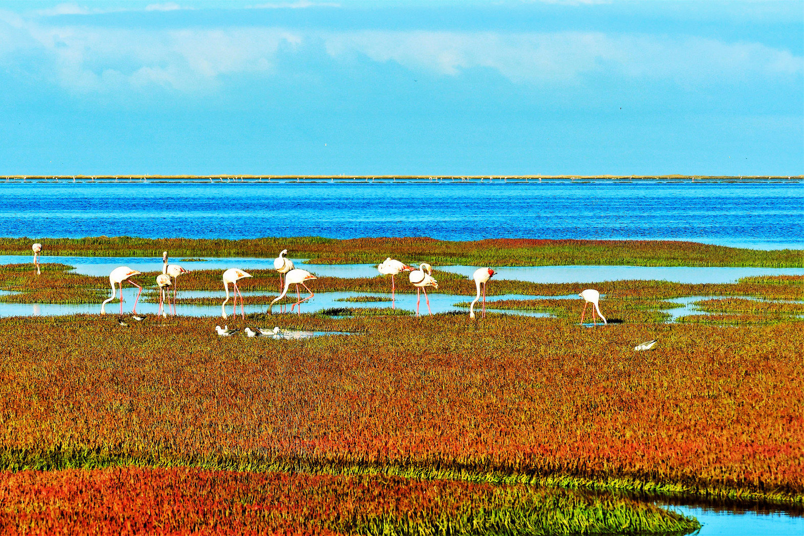 Die Lagunenwiese