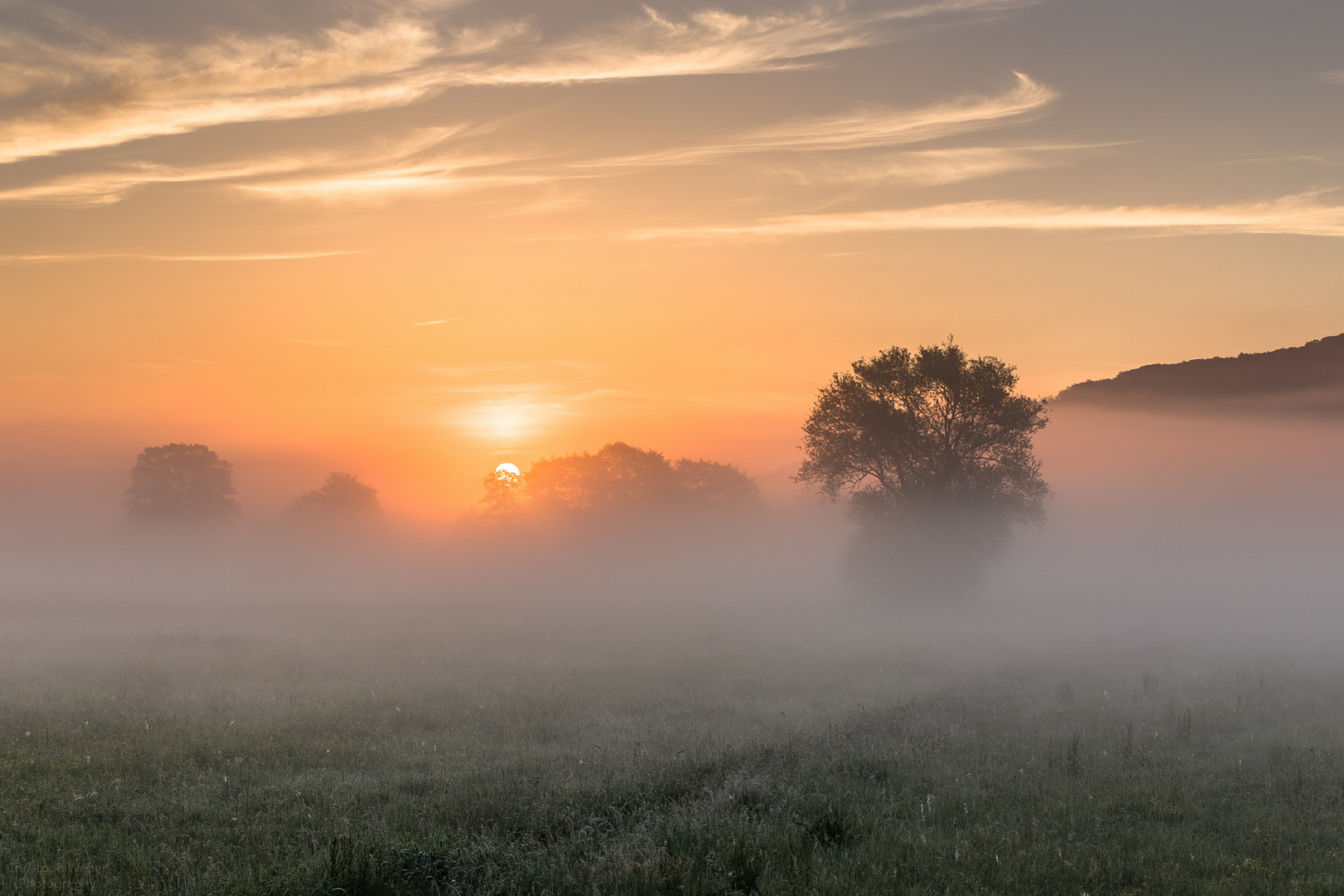 Die Lahn Auen im Morgenlicht 