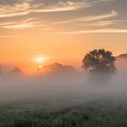 Die Lahn Auen im Morgenlicht 