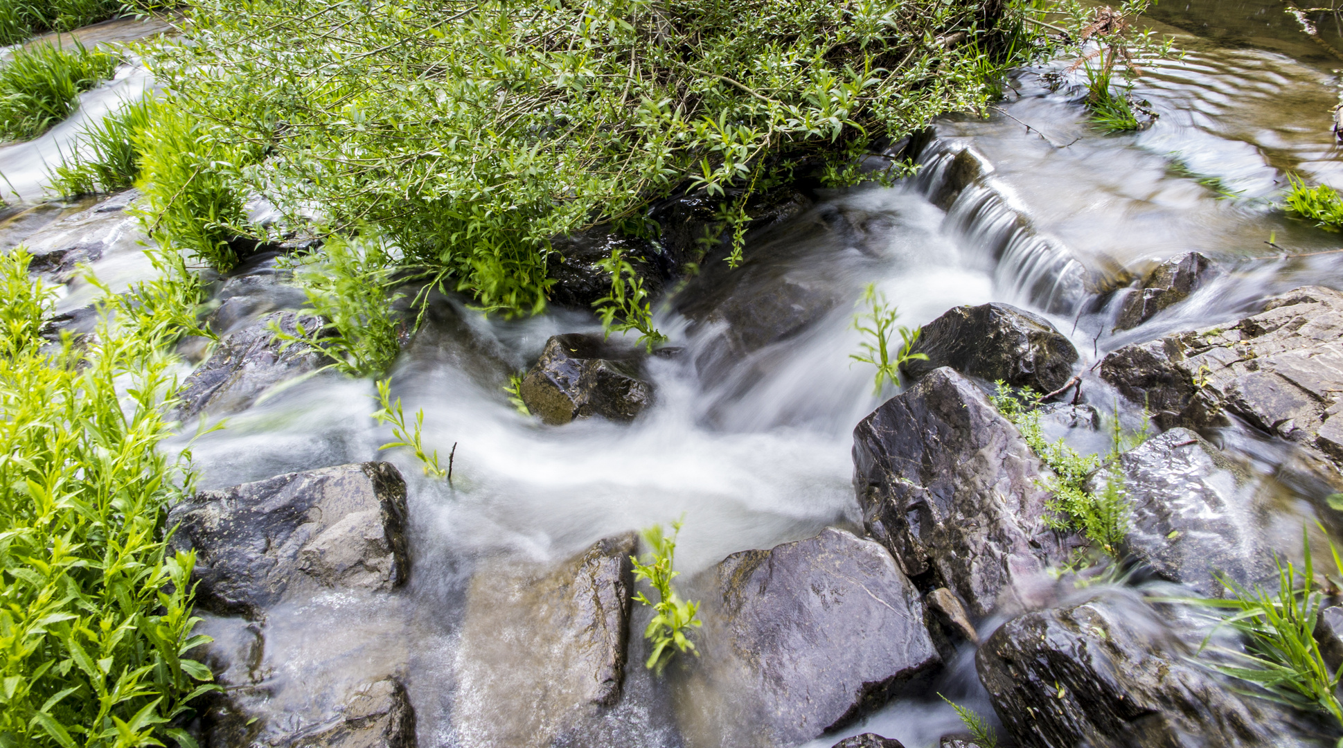 Die Lahn in Niederlaasphe