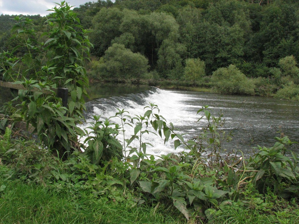 Die Lahn und das Wehr