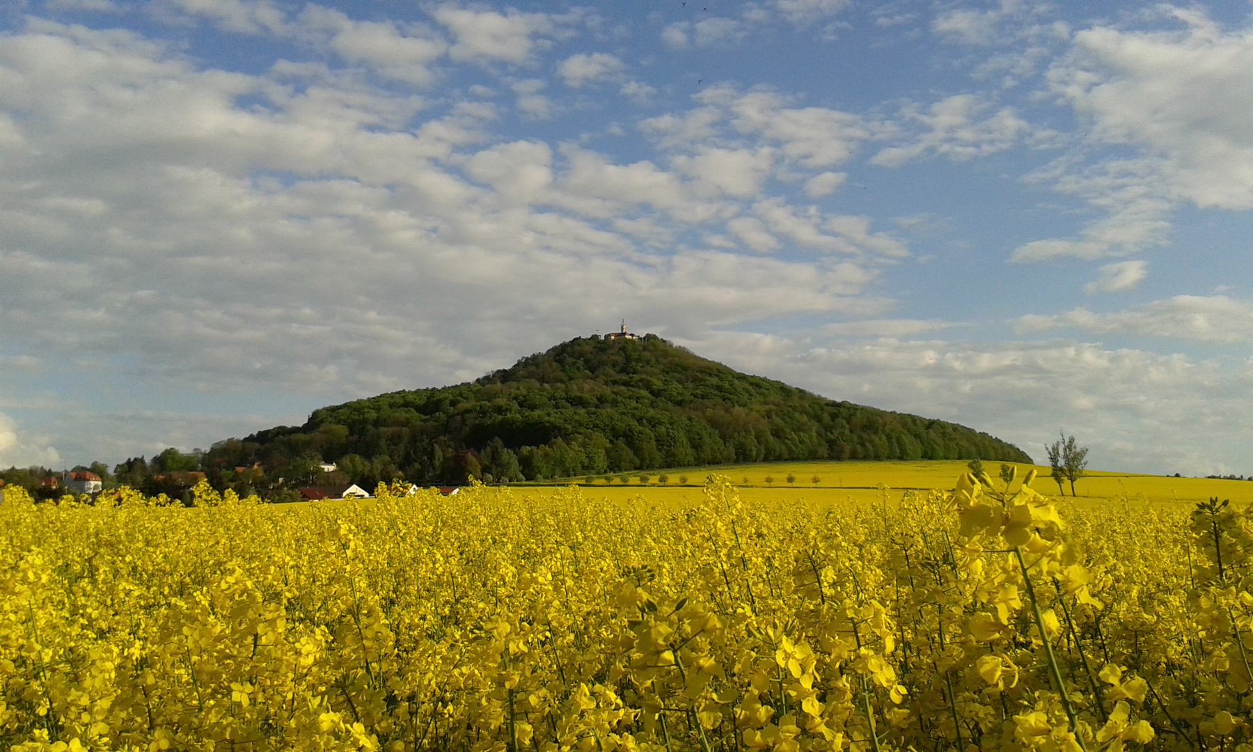 Die Landeskrone