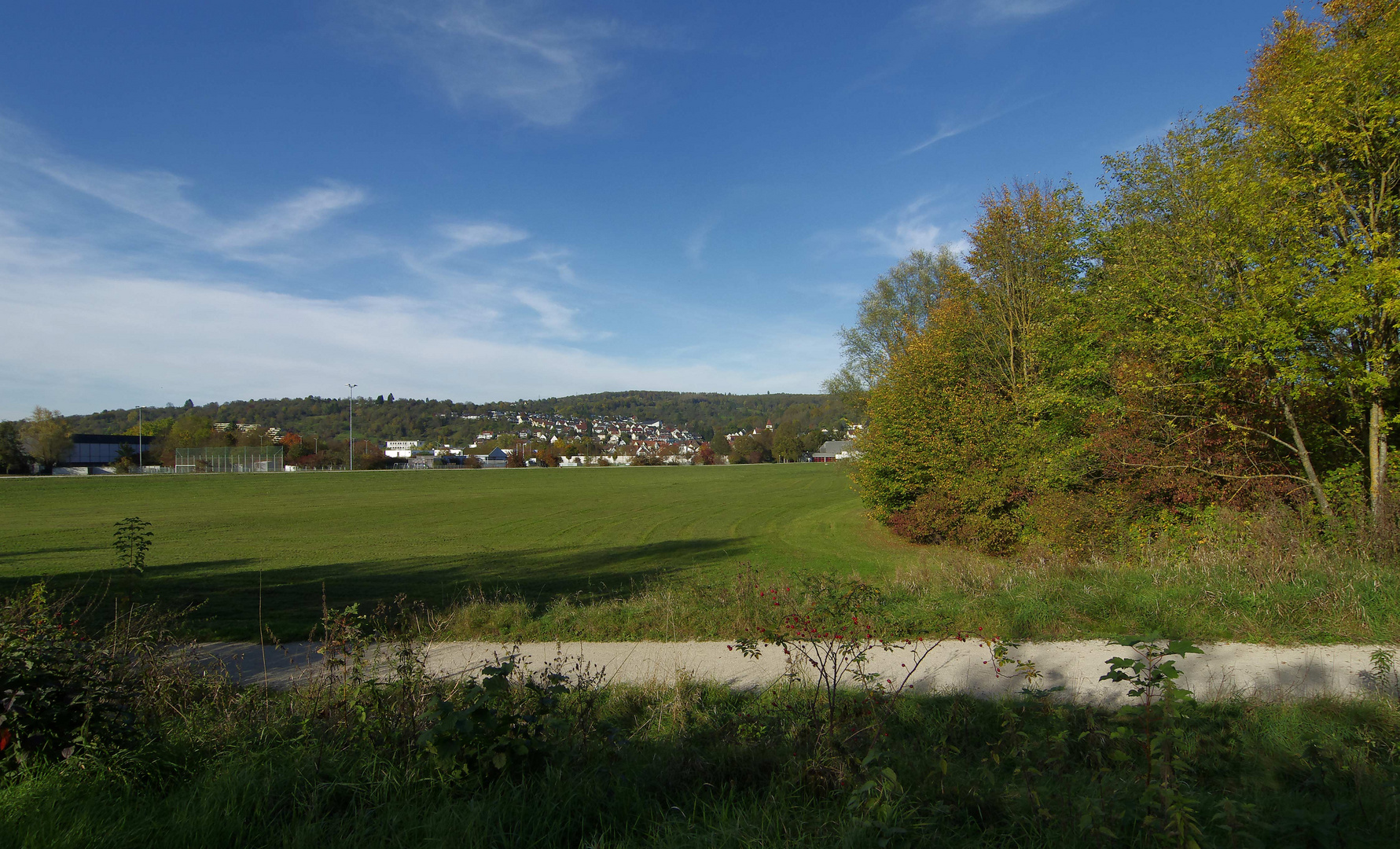 ...die Landschaft am Biotop