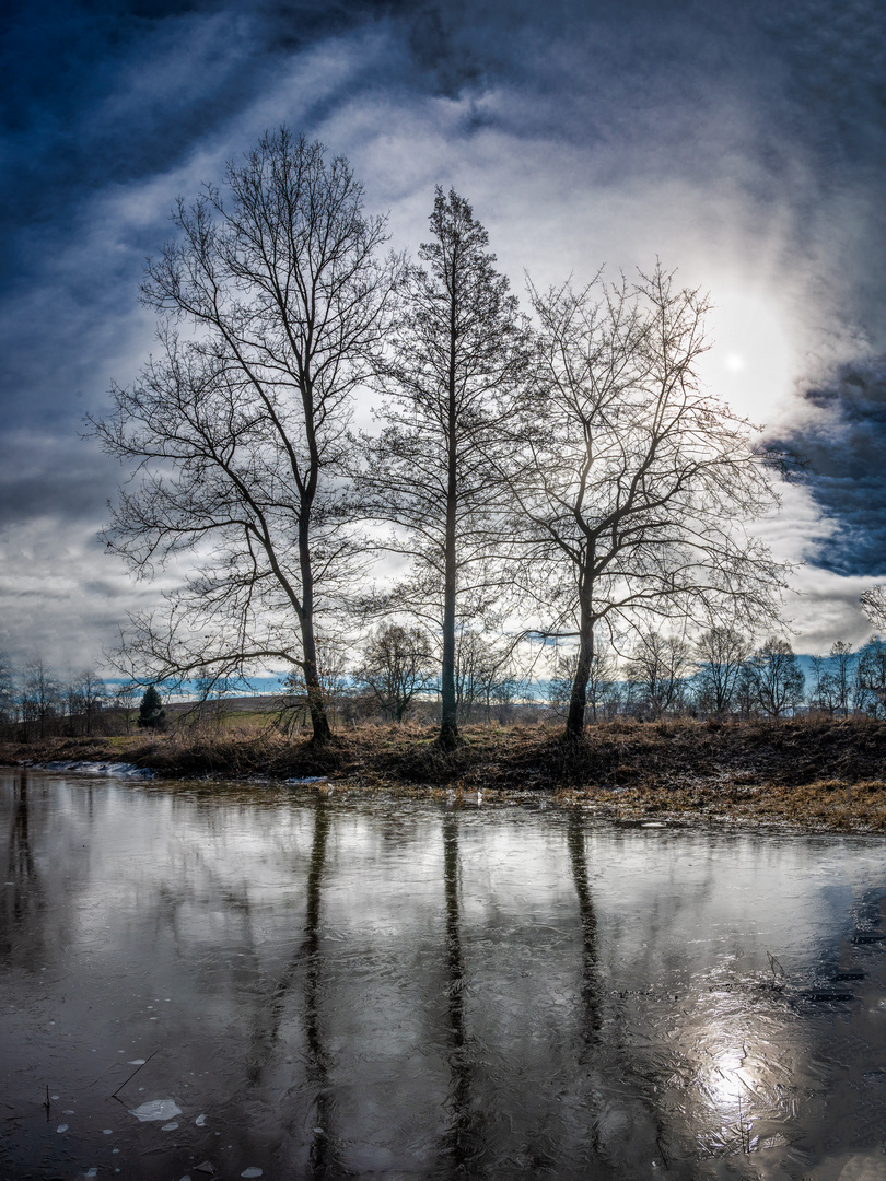 Die Landschaft am Zusammenfluss von Brigach und Breg