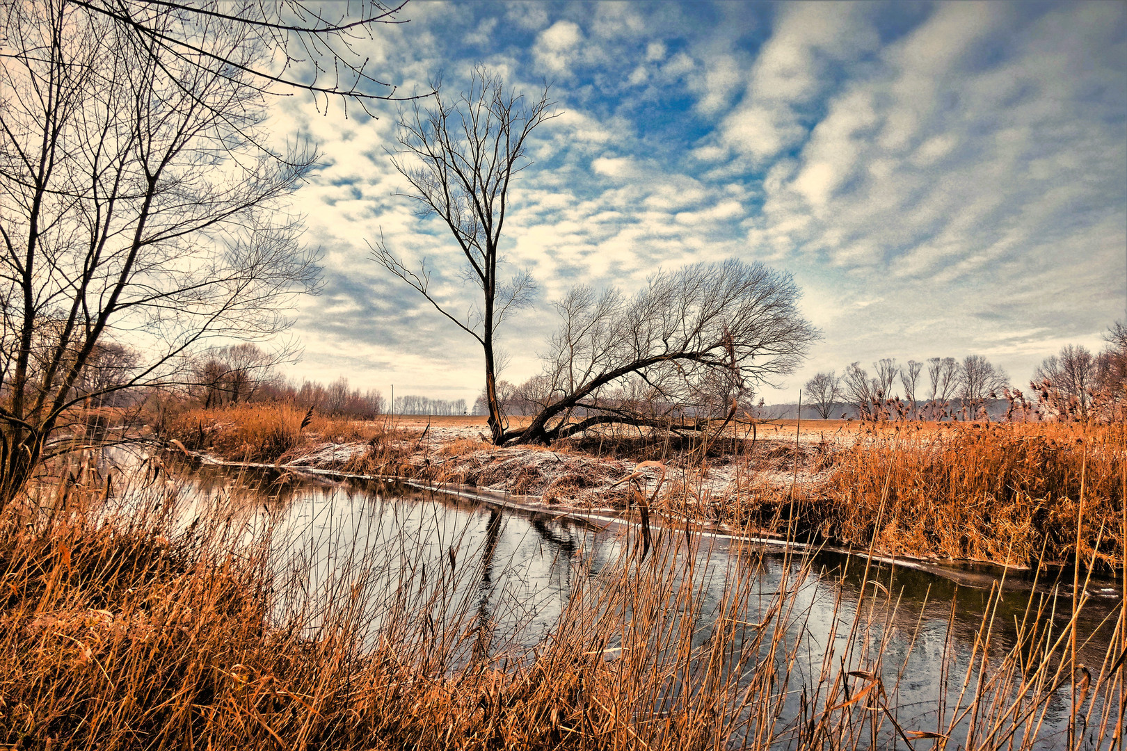 die Landschaft ...