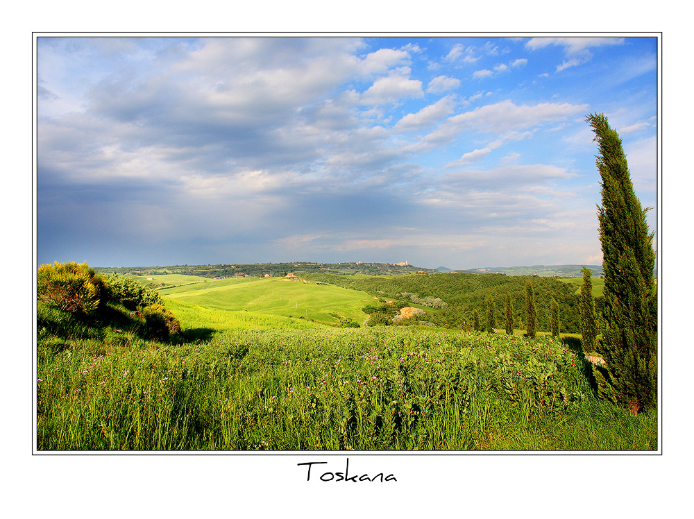 Die Landschaft der Toskana in der Nähe von Pienza