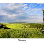 Die Landschaft der Toskana in der Nähe von Pienza