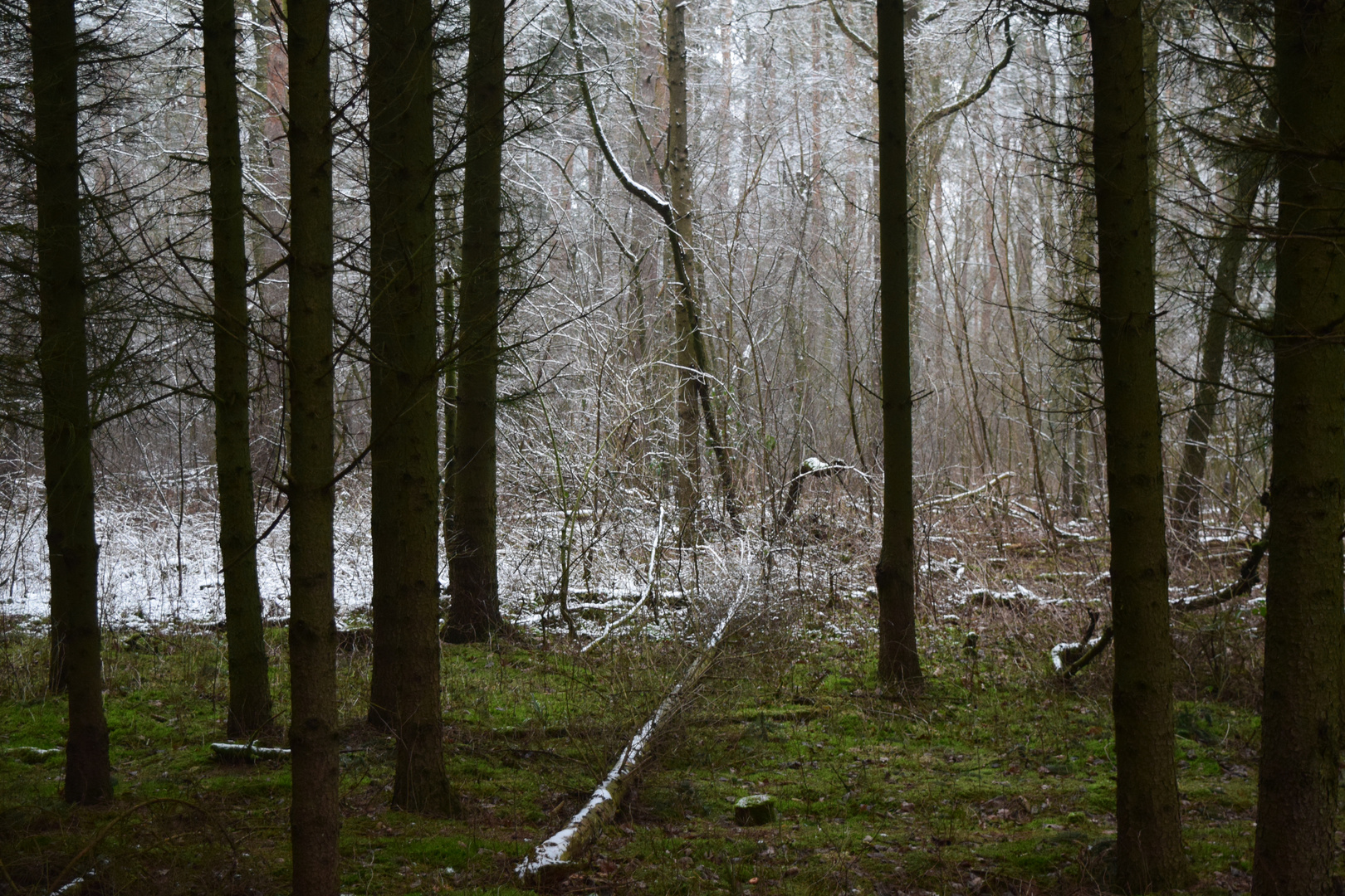 Die Landschaft des “Eisbärkönigs“.