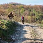 „Die Landschaft erobert man mit den Schuhsohlen, nicht mit den Autoreifen.“ (Georges Duhamel)