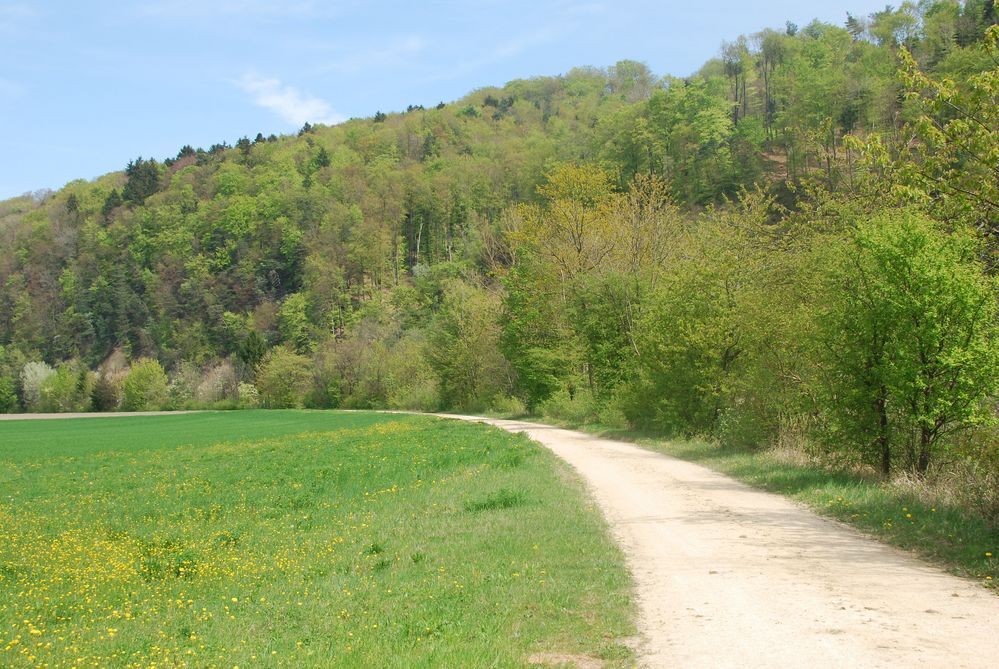 Die Landschaft geht ins Grün