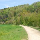 Die Landschaft geht ins Grün