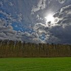 Die Landschaft im April